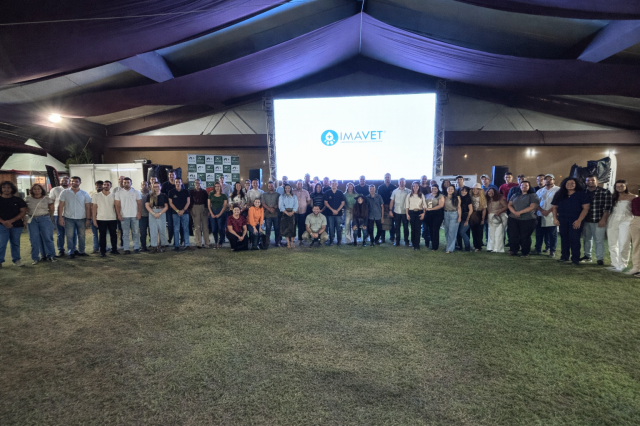 img/imavetco_blog/11_post_11047.png img/imavetco_blog/11_post_11047.png