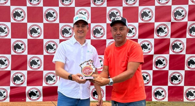 img/imavetco_blog/16_post_1706.jpg img/imavetco_blog/16_post_1706.jpg