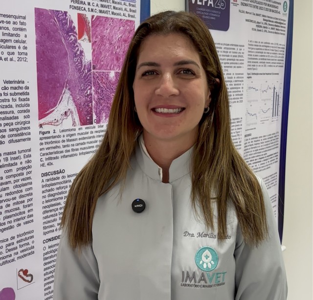 img/imavetco_blog/16_post_8825.jpg img/imavetco_blog/16_post_8825.jpg